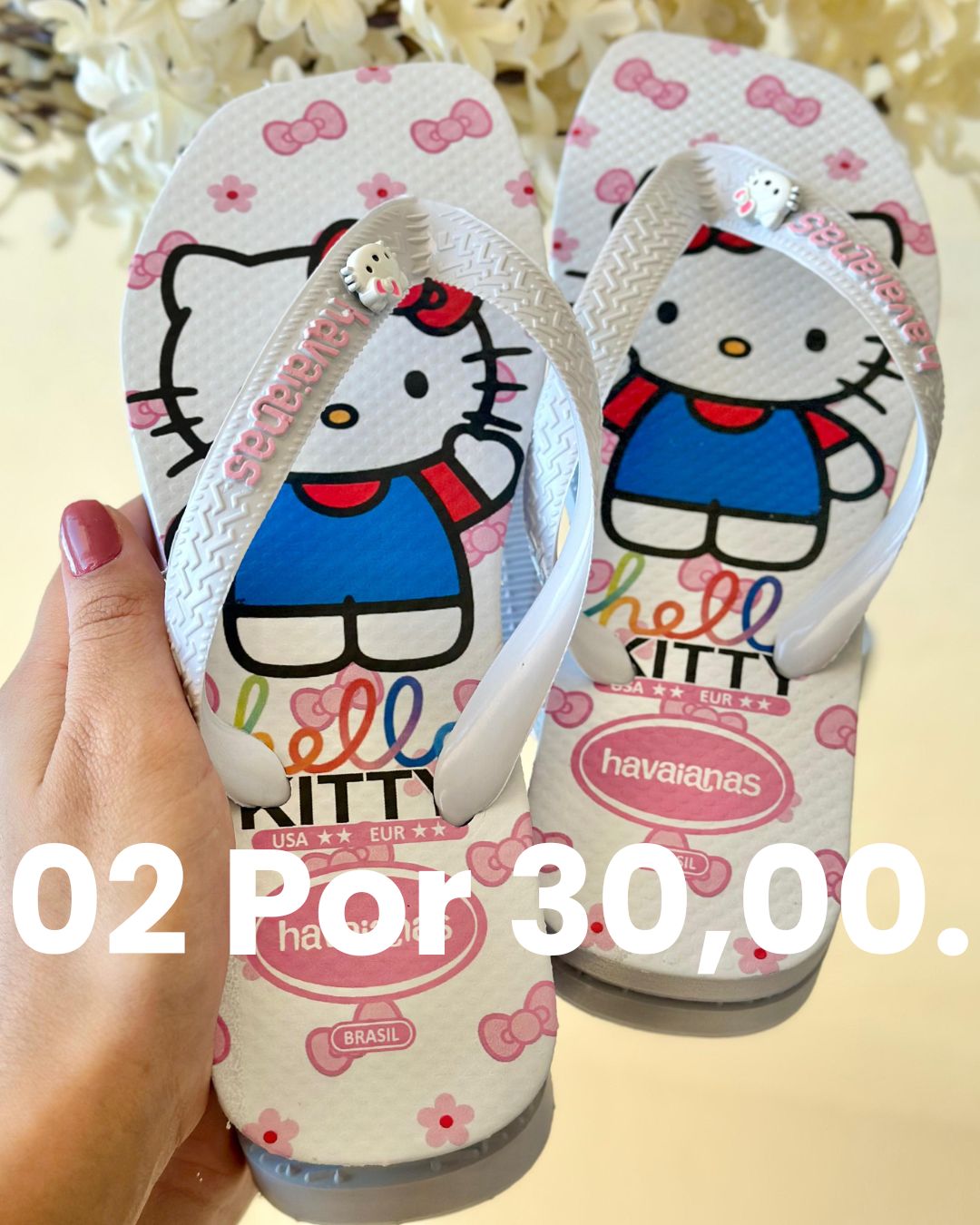 Chinelo promoção 2 por 30 modelo 11